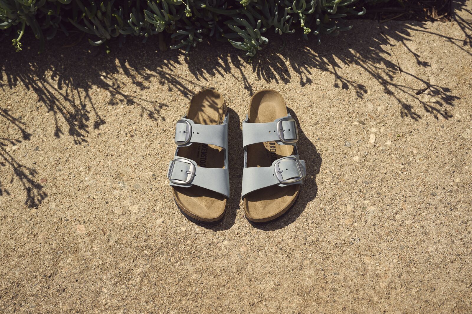 BIRKENSTOCK ARIZONA BIG BUCKLE | PURE SAGE