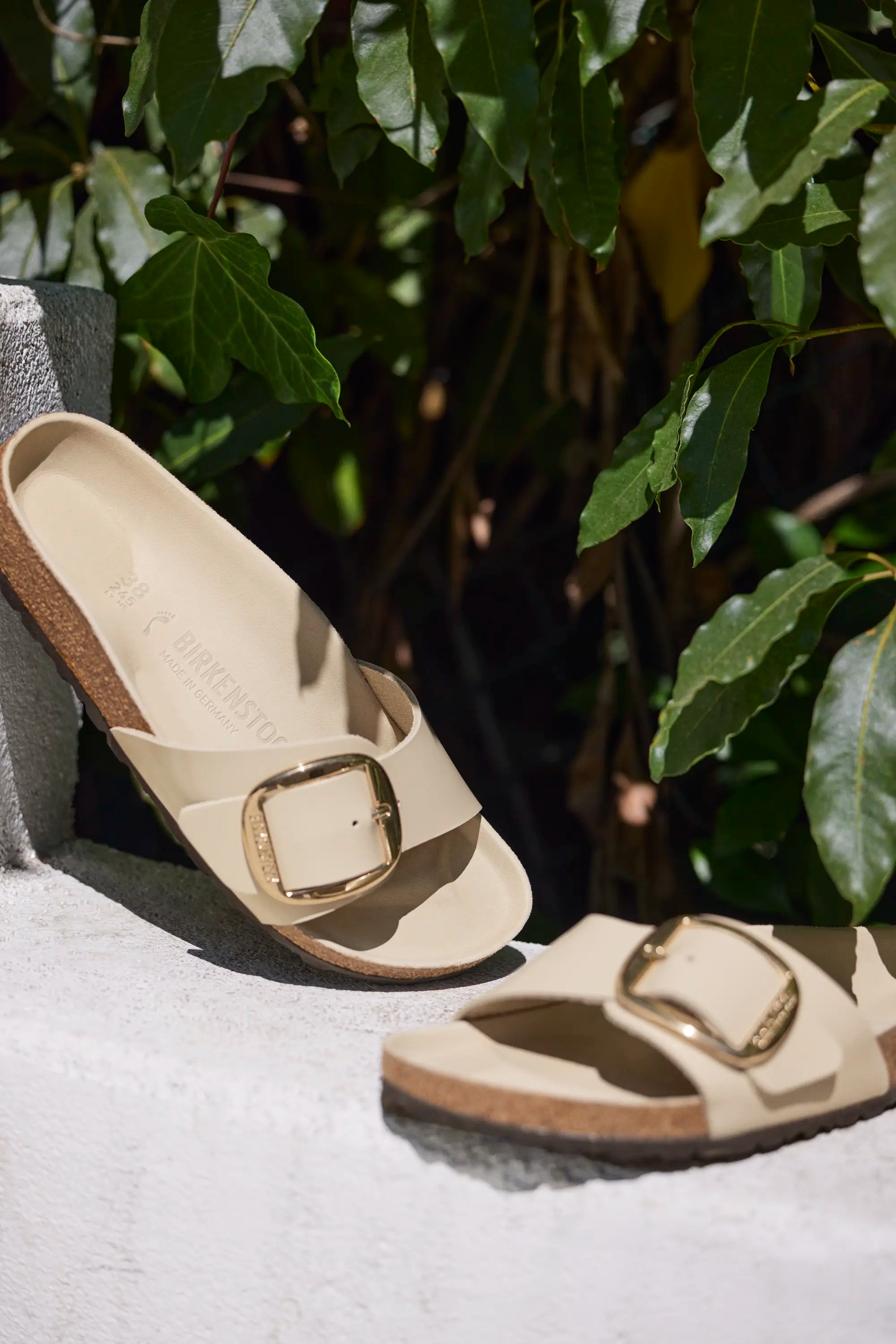 BIRKENSTOCK MADRID BIG BUCKLE HIGH SHINE | OYSTER
