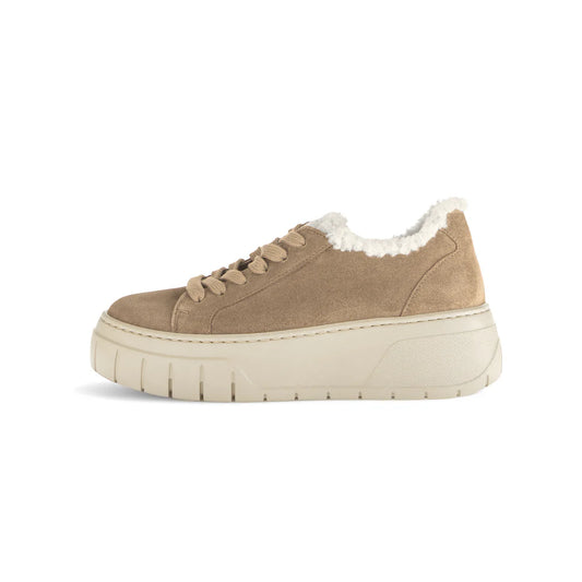 GABOR SUEDE SNEAKER | BEIGE