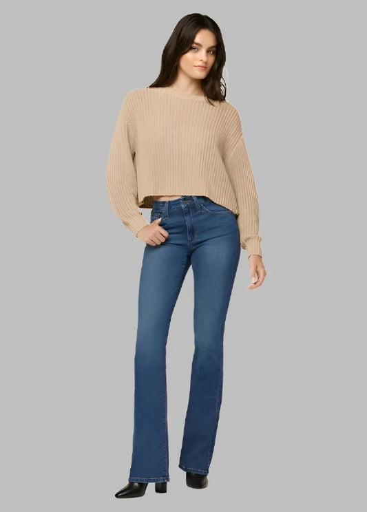 JOE'S THE HI HONEY BOOTCUT | STEPHANEY