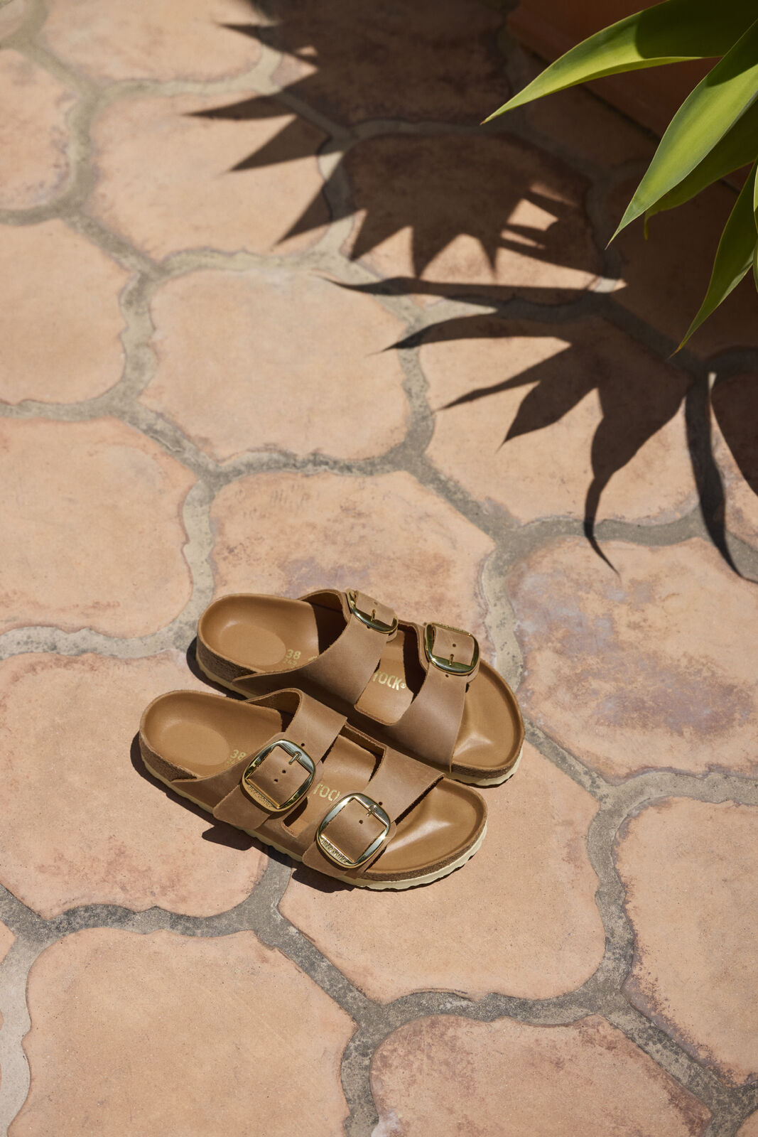 BIRKENSTOCK ARIZONA BIG BUCKLE | COGNAC
