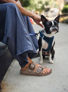 BIRKENSTOCK ARIZONA BIG BUCKLE EVA | GRAY TAUPE