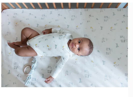 PEHR CRIB SHEET JUST HATCHED