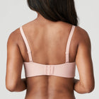 PRIMADONNA FIGURAS PADDED STRAPLESS | POWDER
